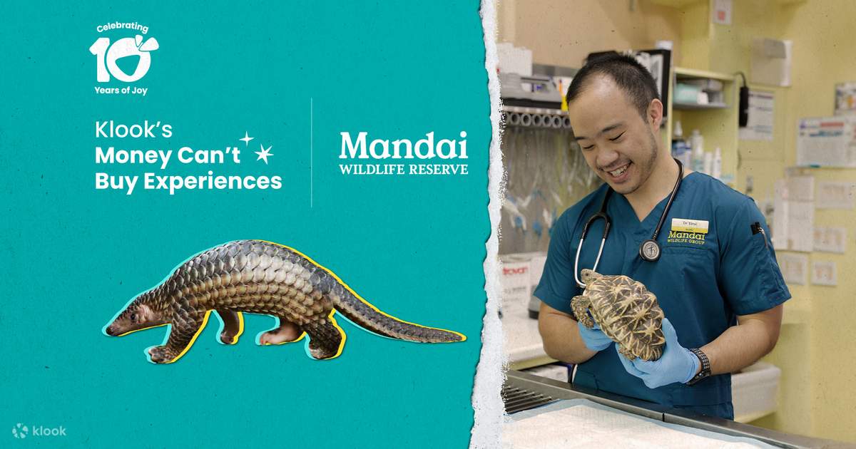シンガポール マンダイ野生生物保護区で野生動物のお医者さん体験 | Klook